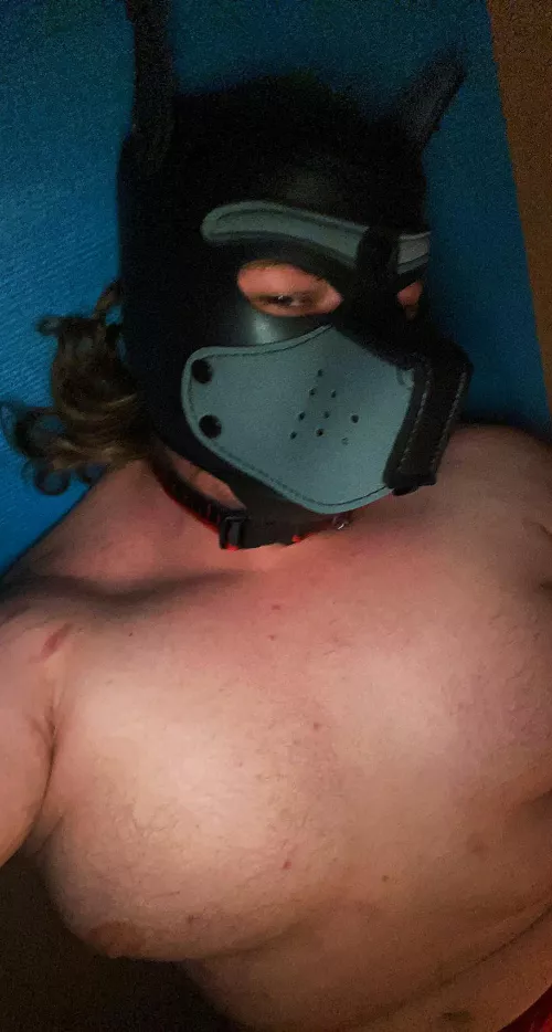 Finished working out now this pup is ready to play 🐶