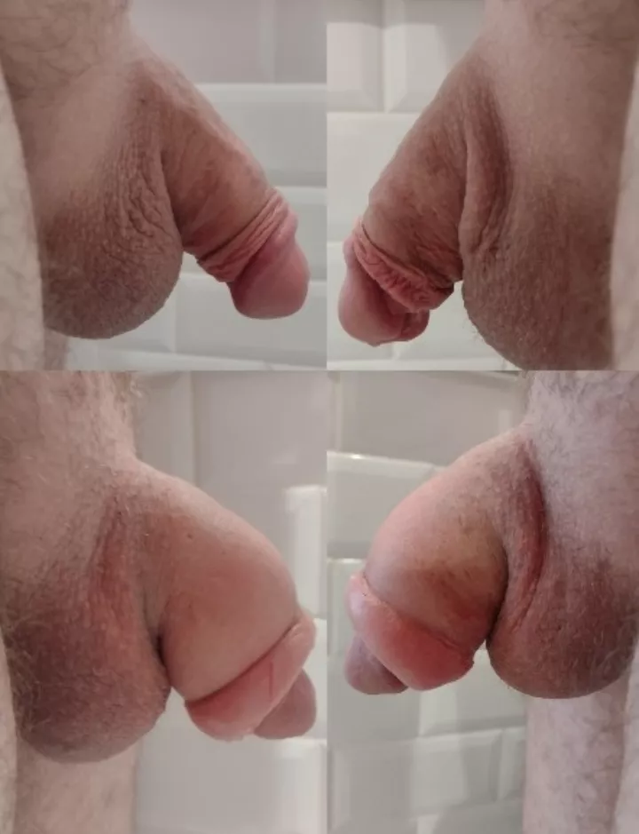 flaccid, normal verses pumped