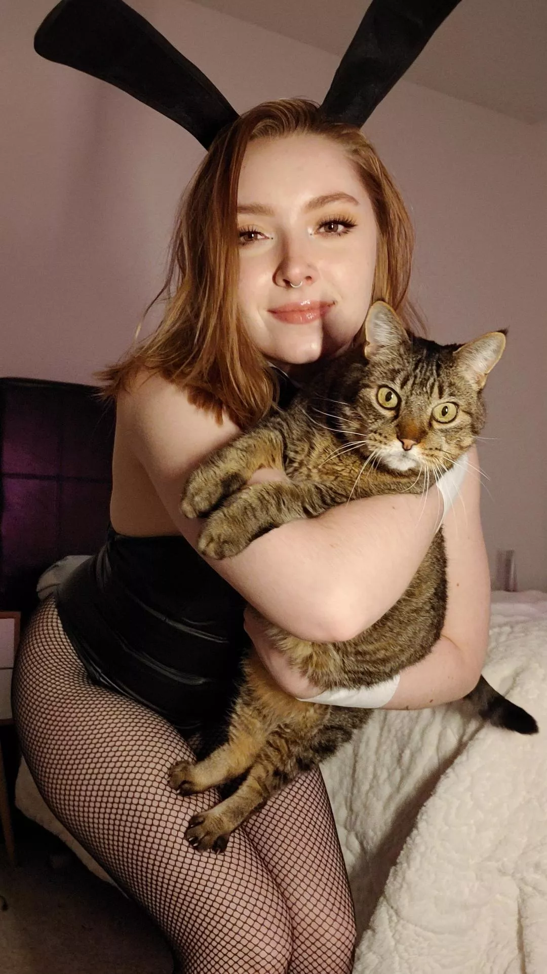 Fluffy kitty and cute bunny, what combo could be better? 😋