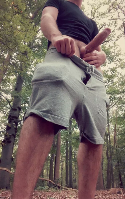 Found some 🪵 on my hike