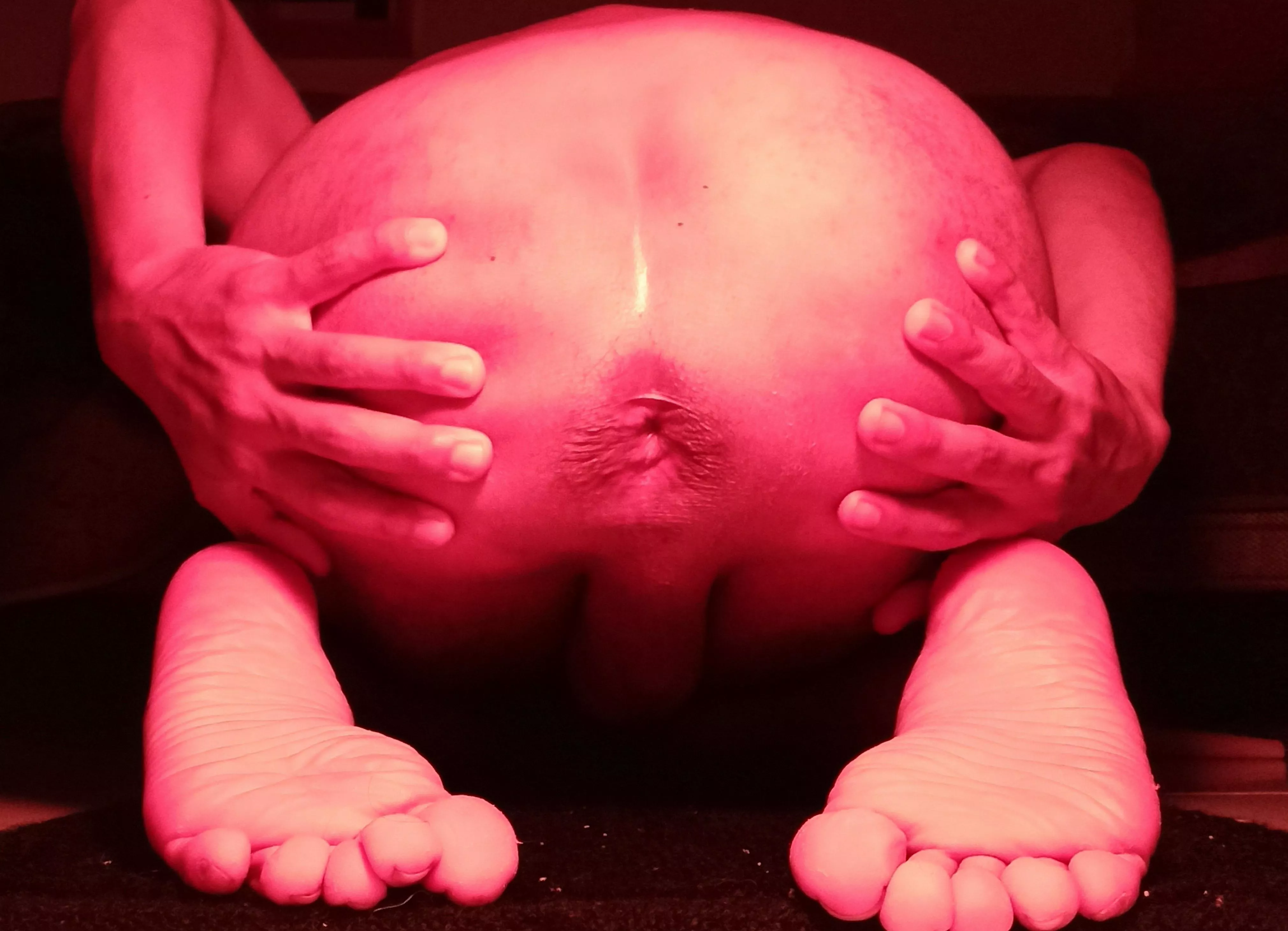 free to use free to use