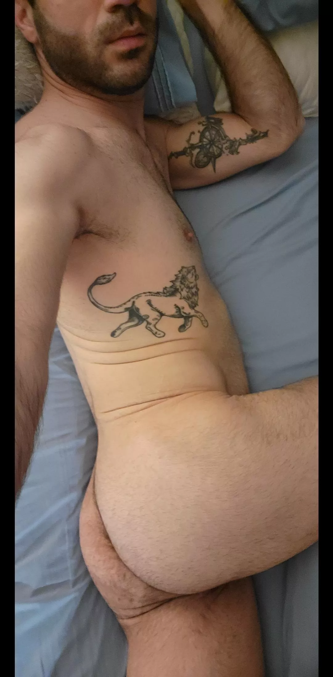 Fresh trim. still an otter?