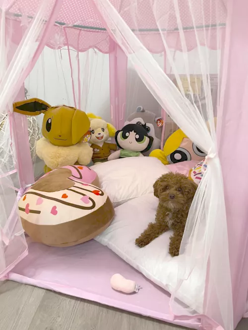 Gangs all here! Time for cuddles! 💖🐻