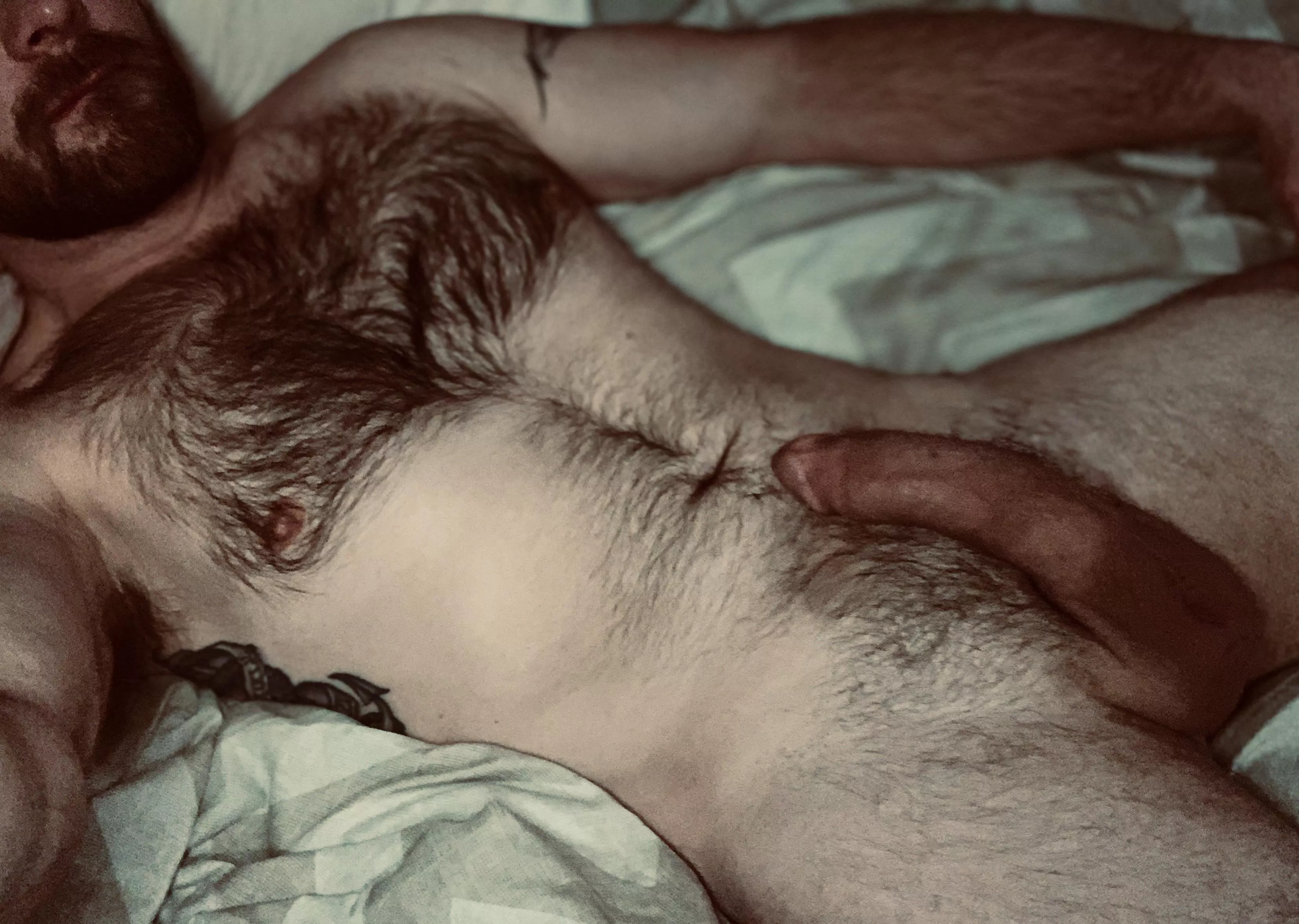 Get back in bed. I just want to cuddle, I promise. Get back in bed. I just want to cuddle, I promise.