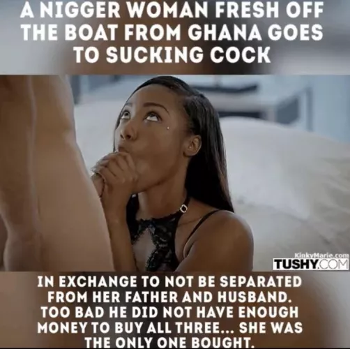 Ghana monkey 🐒 🇬🇭