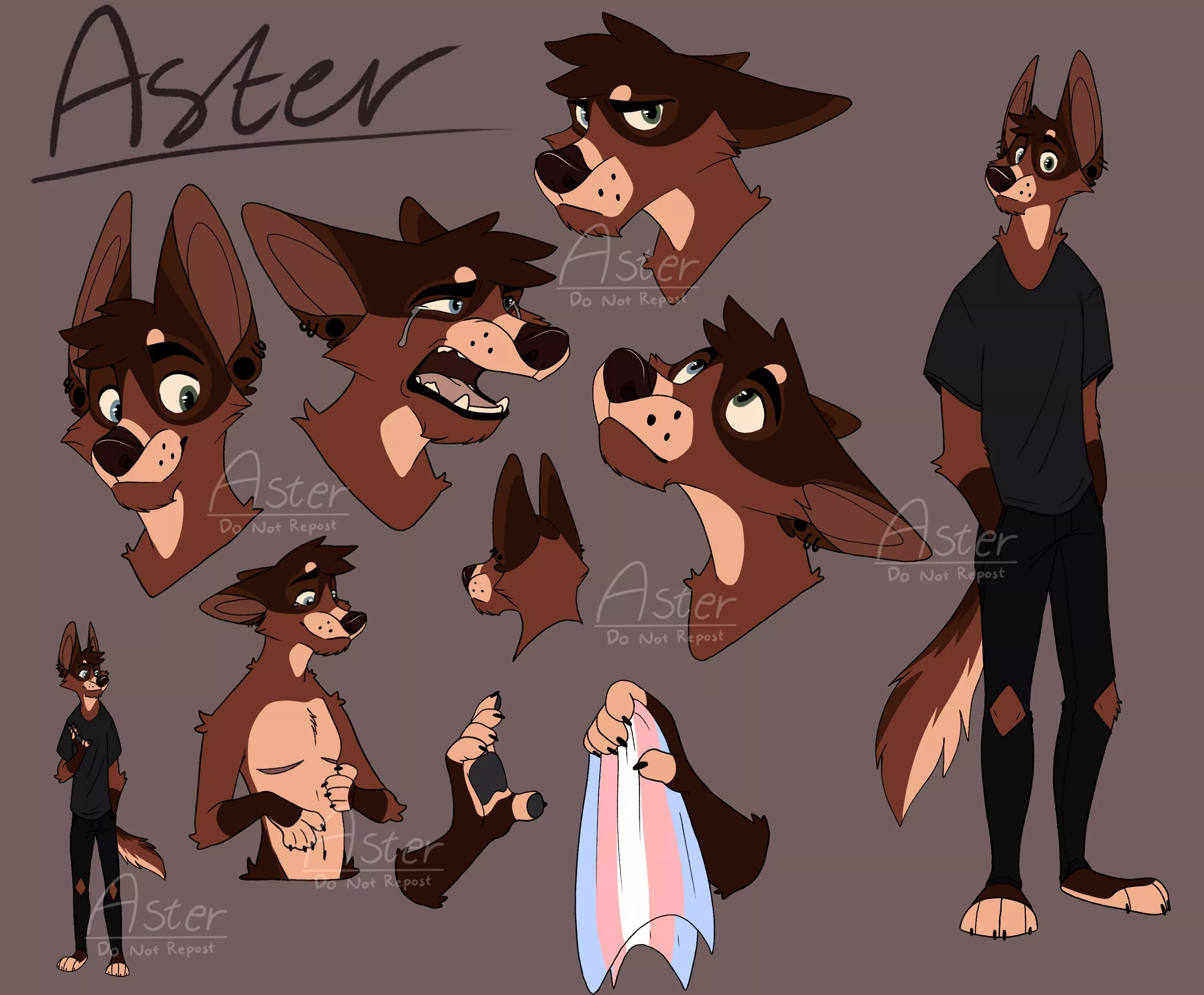 Giant drawing sheet of Aster!!