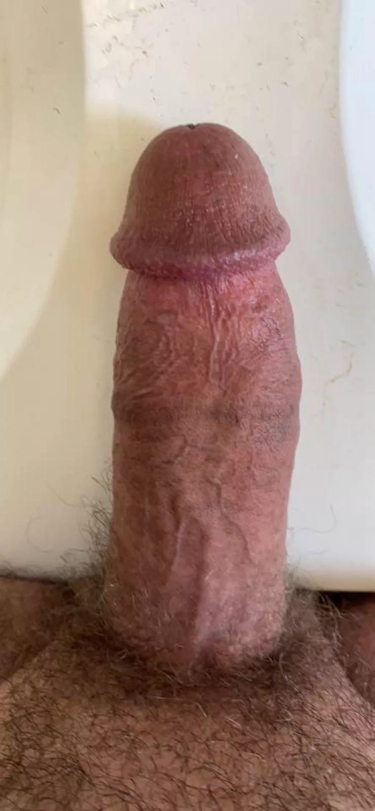 Girth you could only dream of. Who’s challenging this? Girth you could only dream of. Who’s challenging this?