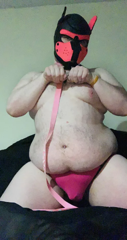 Good boi, ready for snugs! *wags*