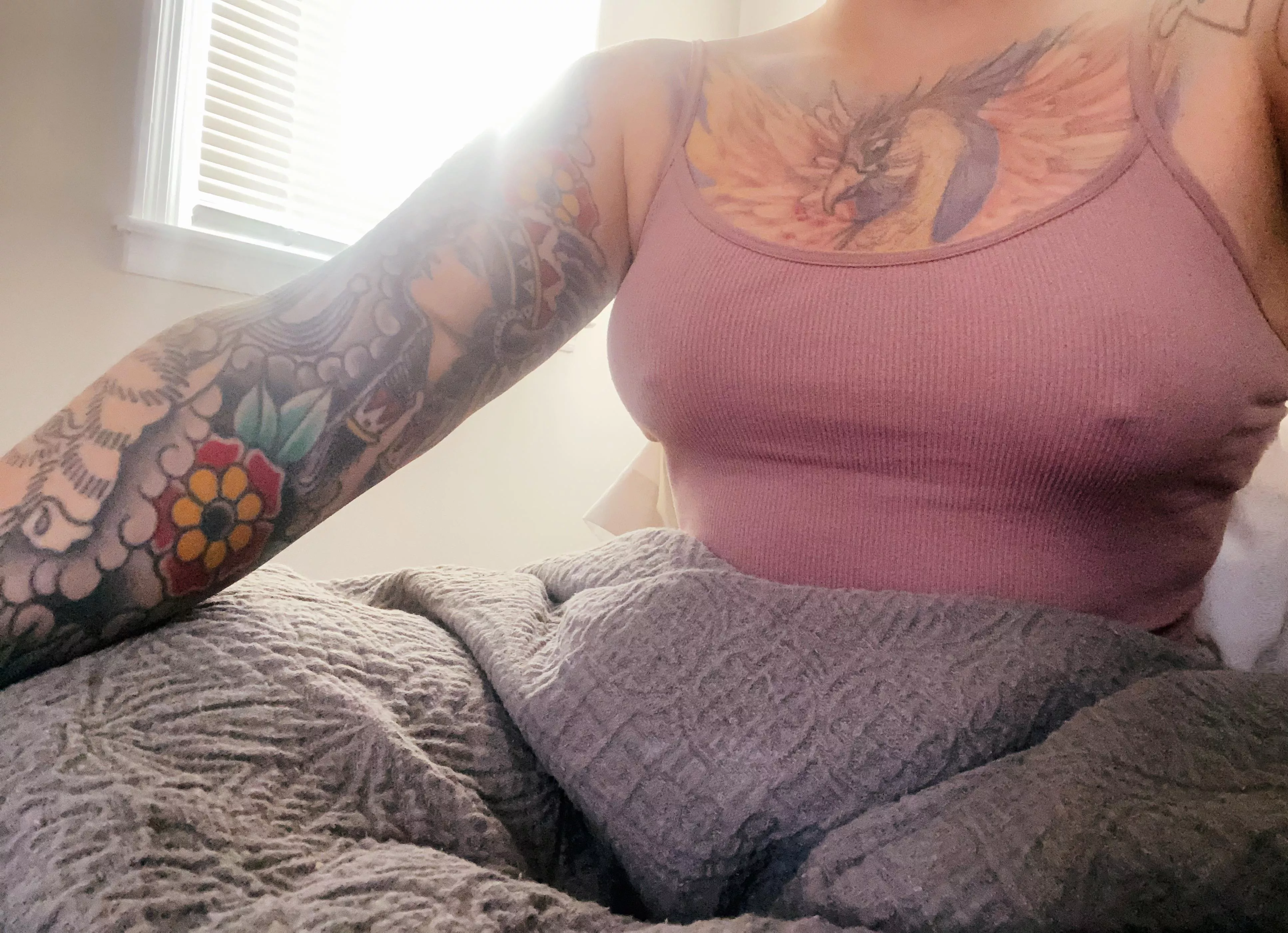 good morning ☀️ ☀️