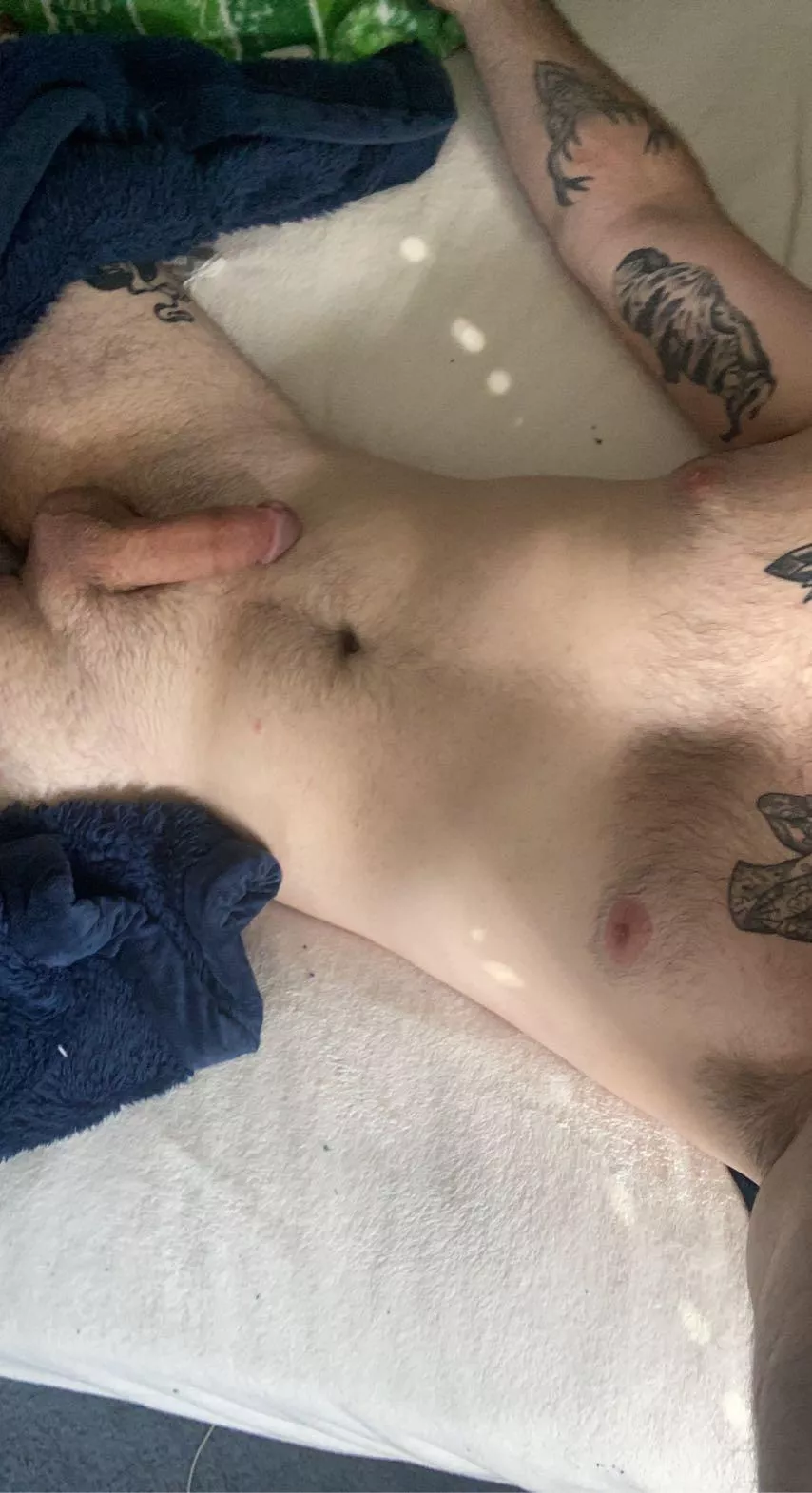 Good morning Good morning