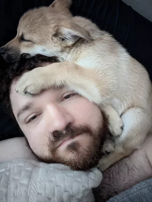 Got a new puppy a week and a half ago. This is how I woke up this morning.