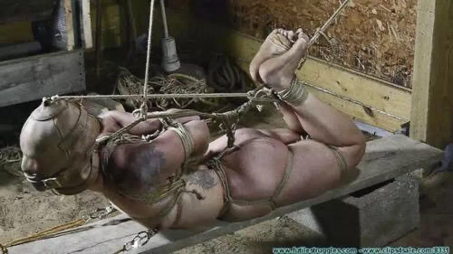 got to love them bound