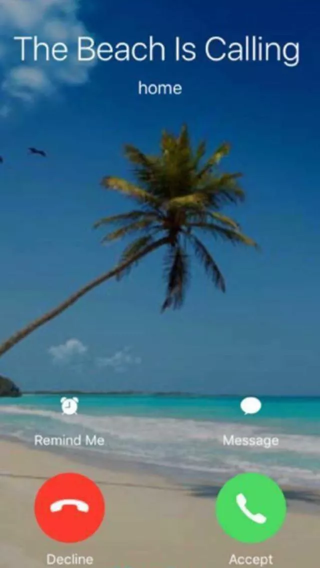 Gotta take this call ☀️