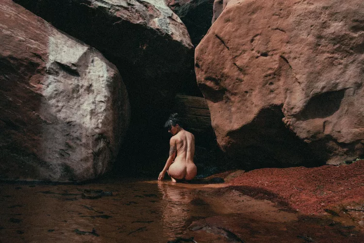 Grateful for the sunshine today ✨