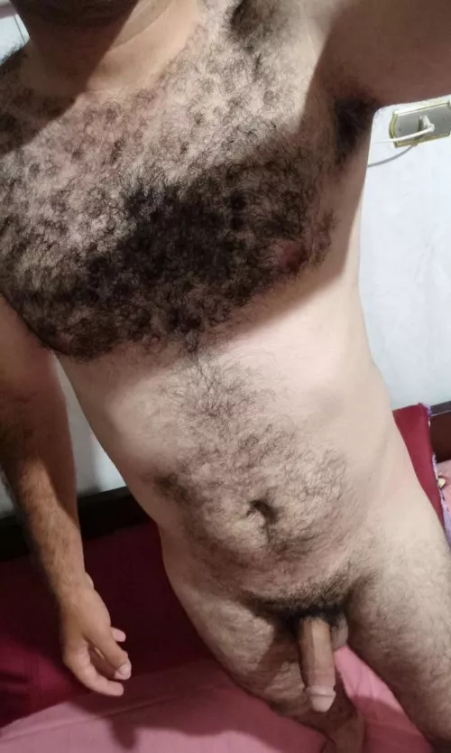 Hairy or hottie enough?