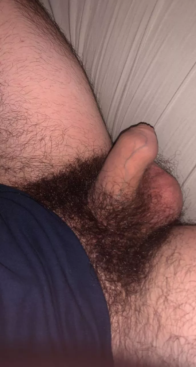 Hairy softie😋
