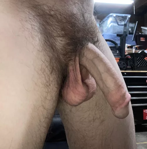 Hanging out in the garage, excuse the bush please.