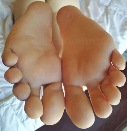 💜 HAPPY 👣 TOESDAY 💜