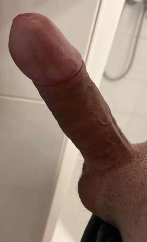Hard dick today