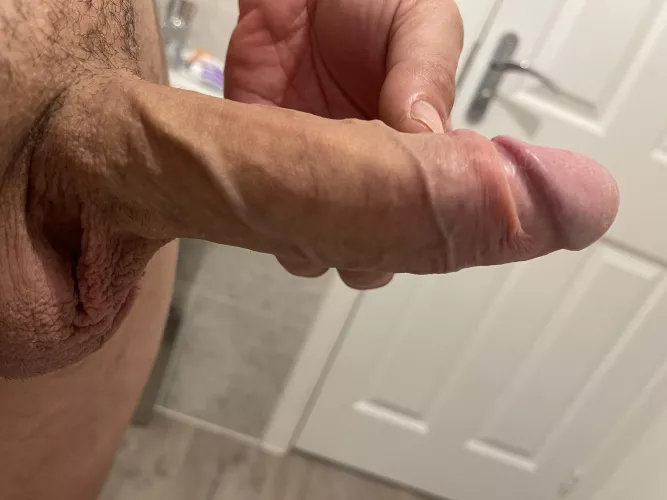 Haven’t had my cock sucked for ages !! Any offers?