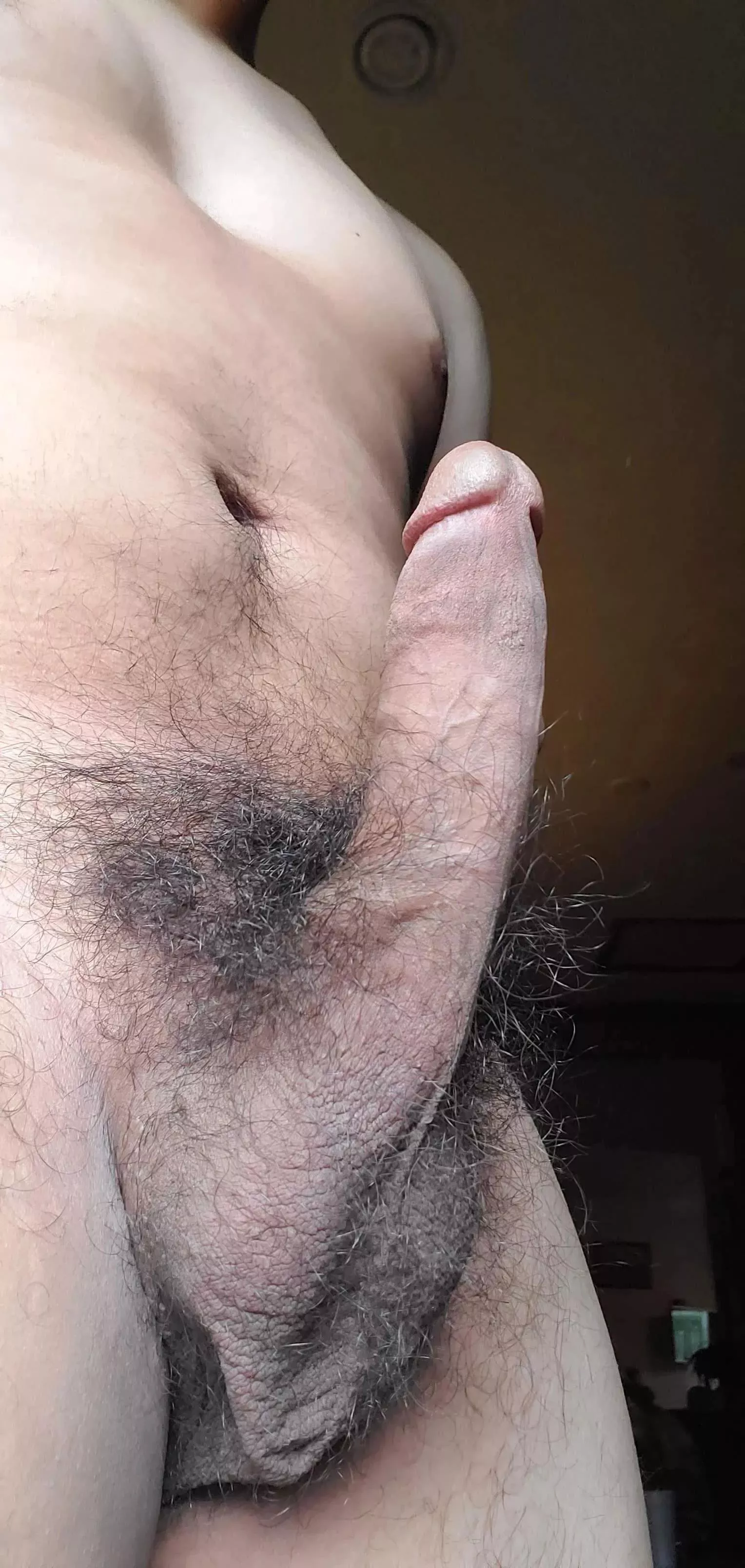 haven't shaved in years