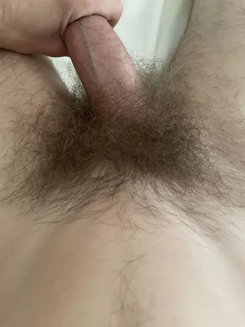 Haven’t trimmed my pubes since last summer
