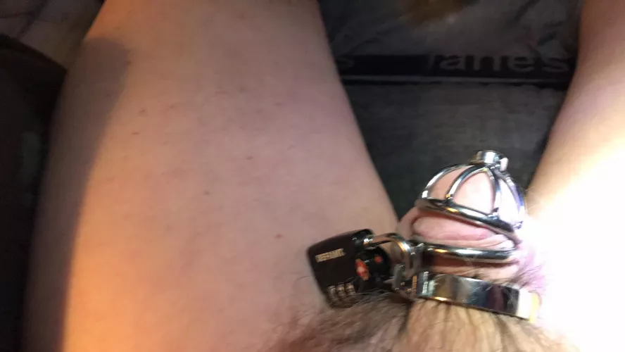 He is caged what do you think