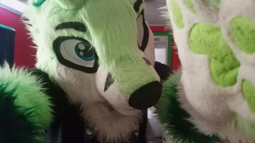 hello cutie (Fursuit Friday 4/22/22)