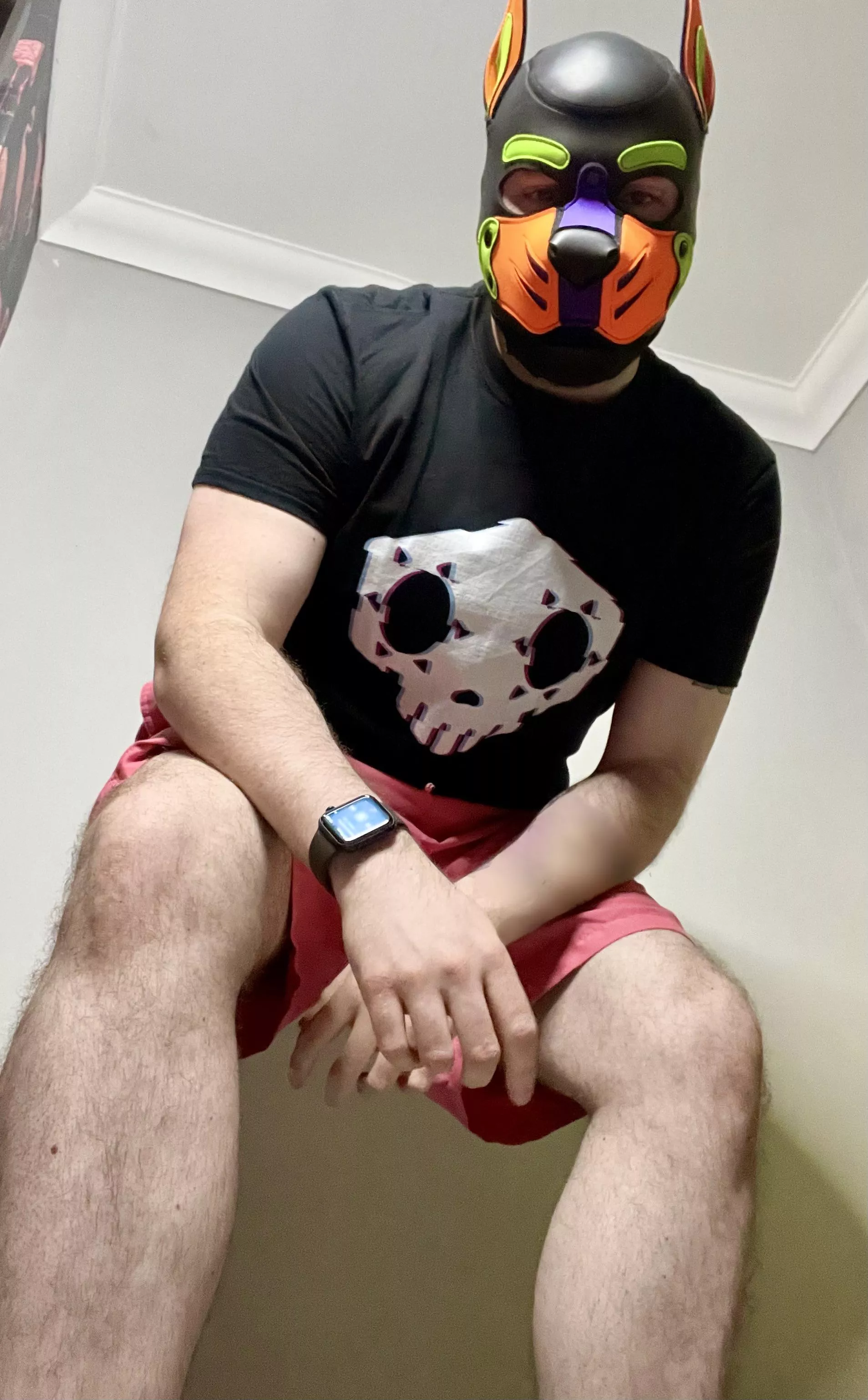 Hello down there 👋🏼 Woof!