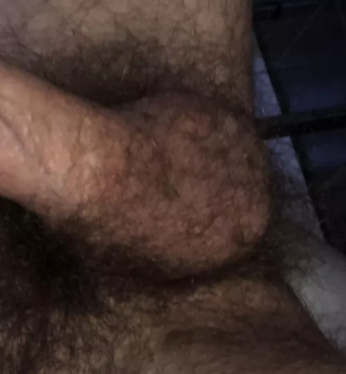 Hello from Germany 👋🏼 should i shave my balls or should they stay hairy ?