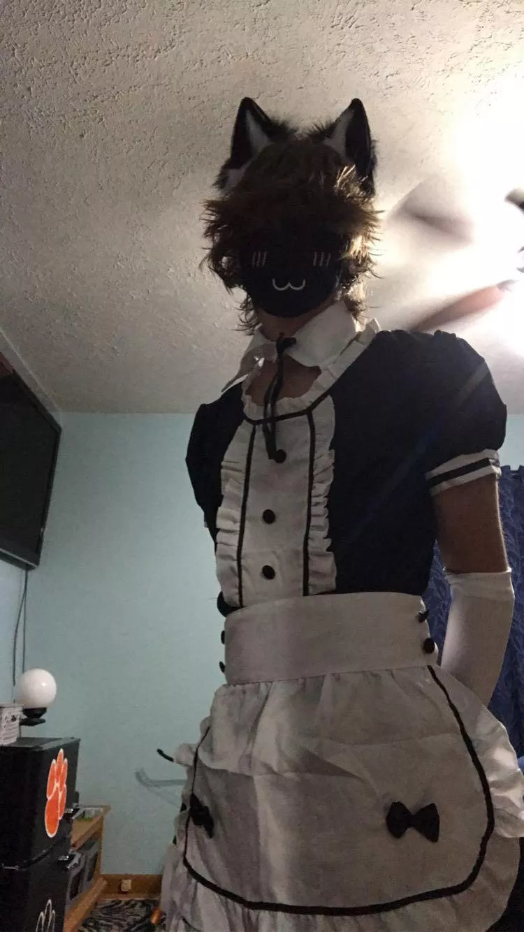 “hello i’m the new maid”