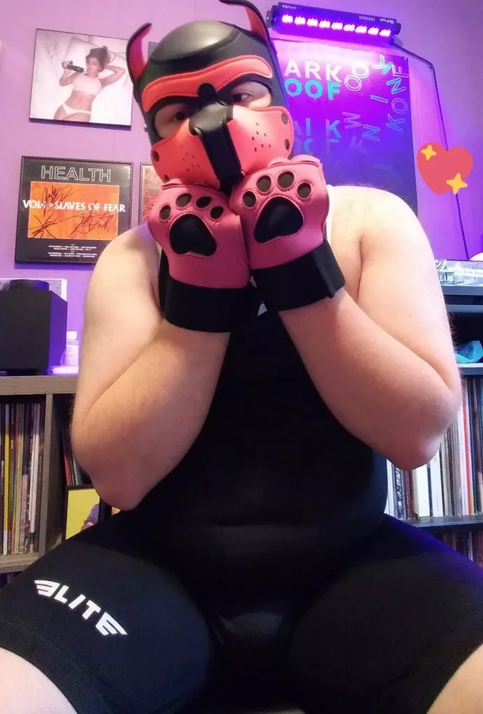 hello reddit puppies 🐾