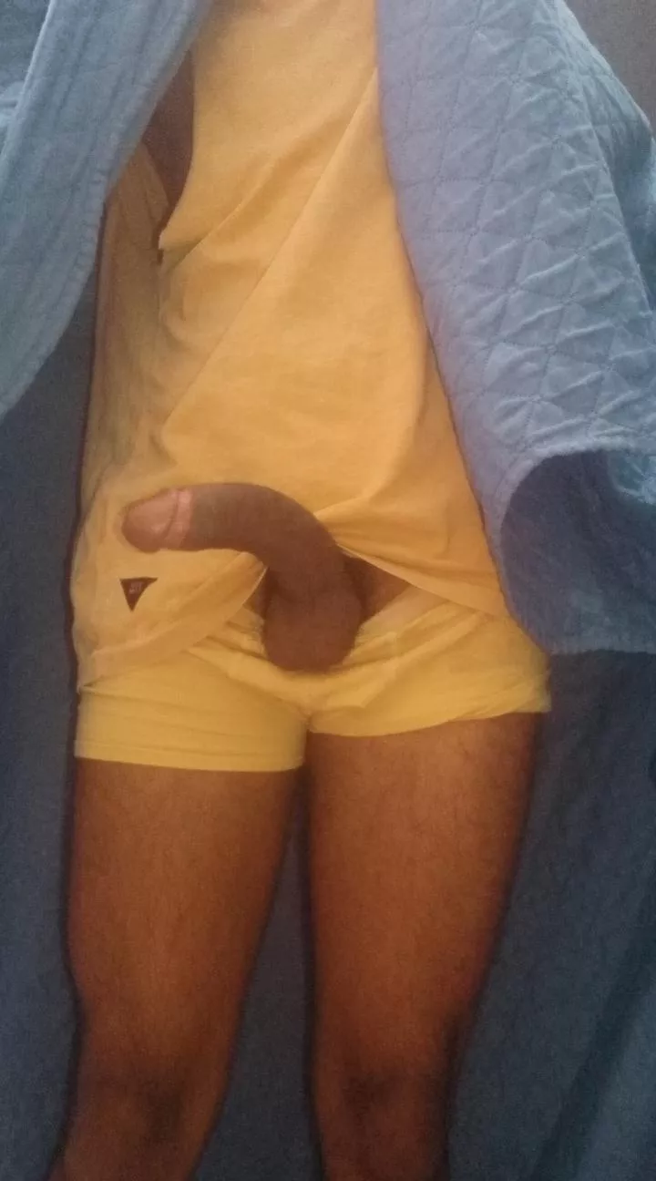 Hey, hurry up! Join me under my blanket