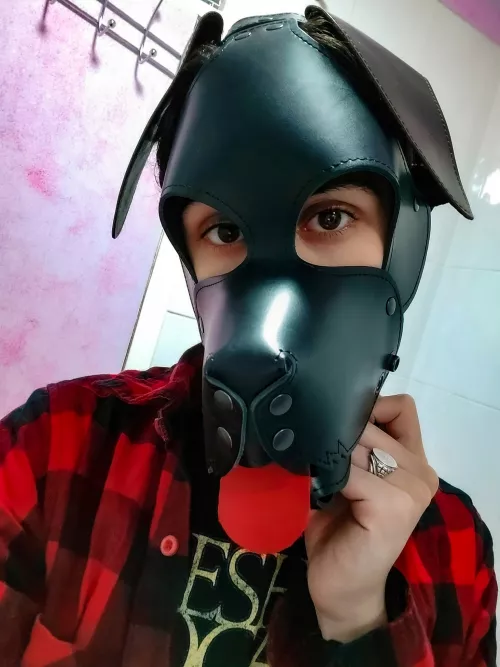 hii, I'm looking to see if I can change up my hood a bit any accessories to make it cuter? 😶🐶