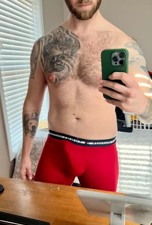 Hope you don’t mind my big bulge