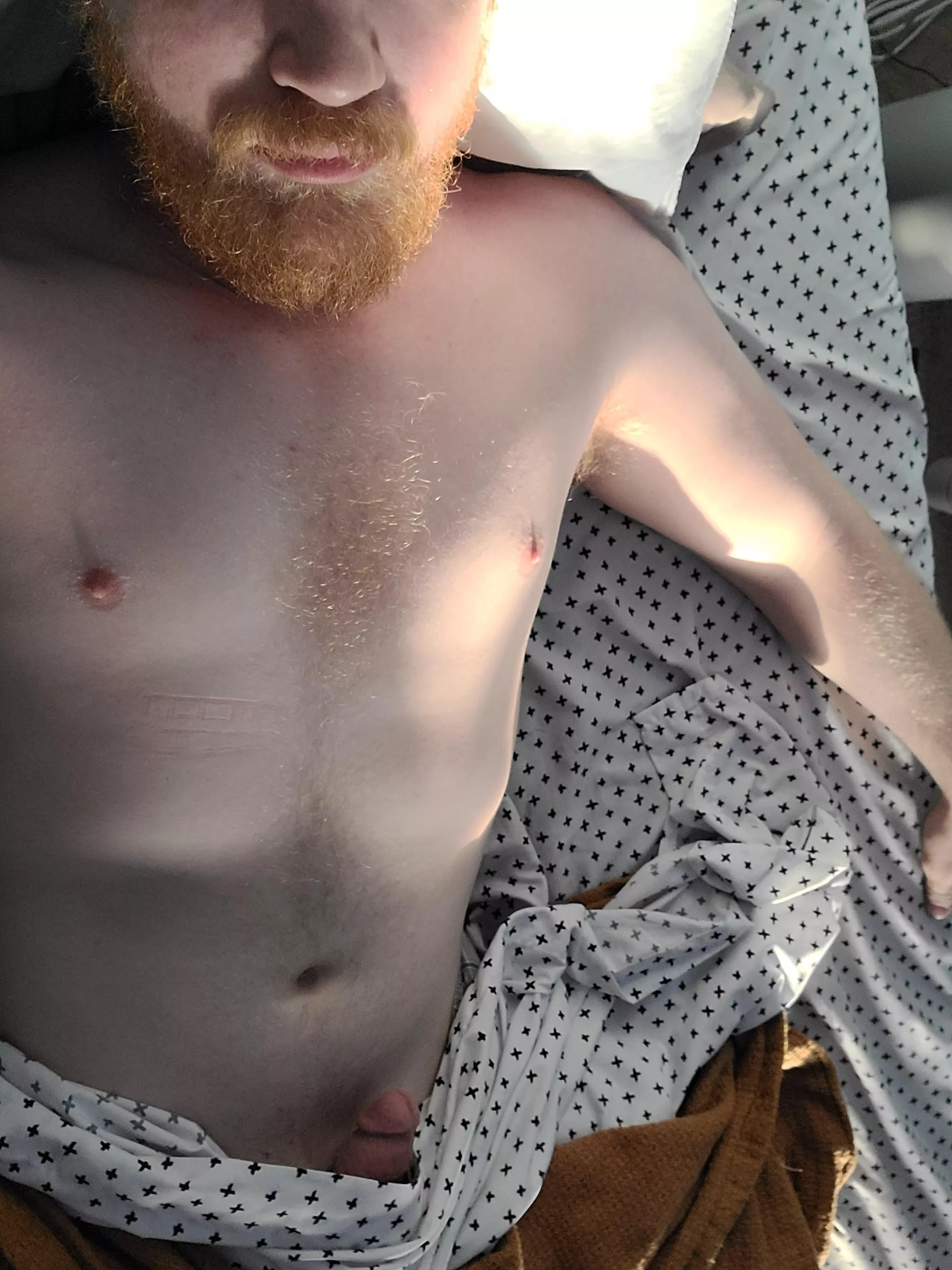 how do I look in the morning sunshine? how do I look in the morning sunshine?