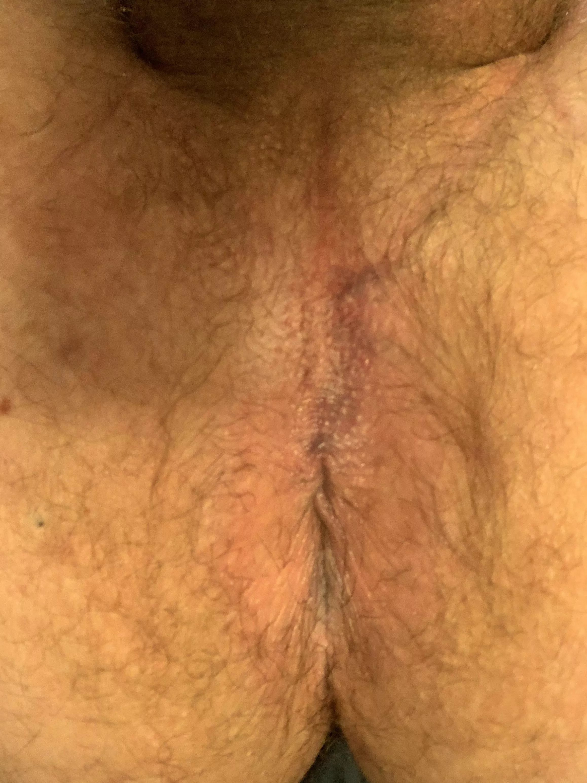 How many guys would breed me?