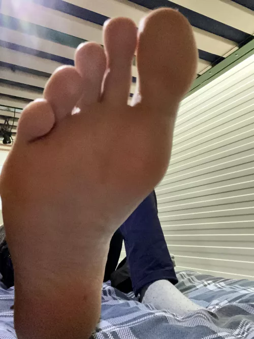 How much could you fit in your mouth?