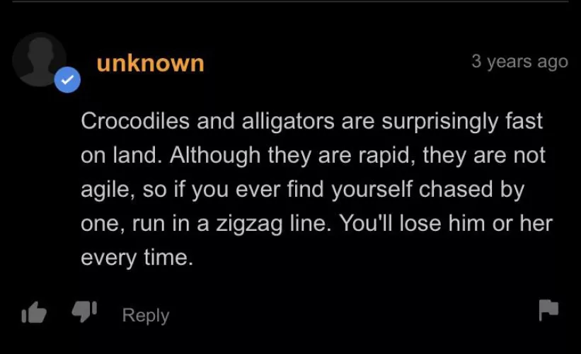 how to survive being chased by an alligator or croc