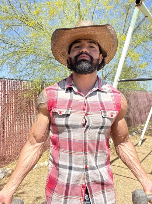 How’s my arms looking ?