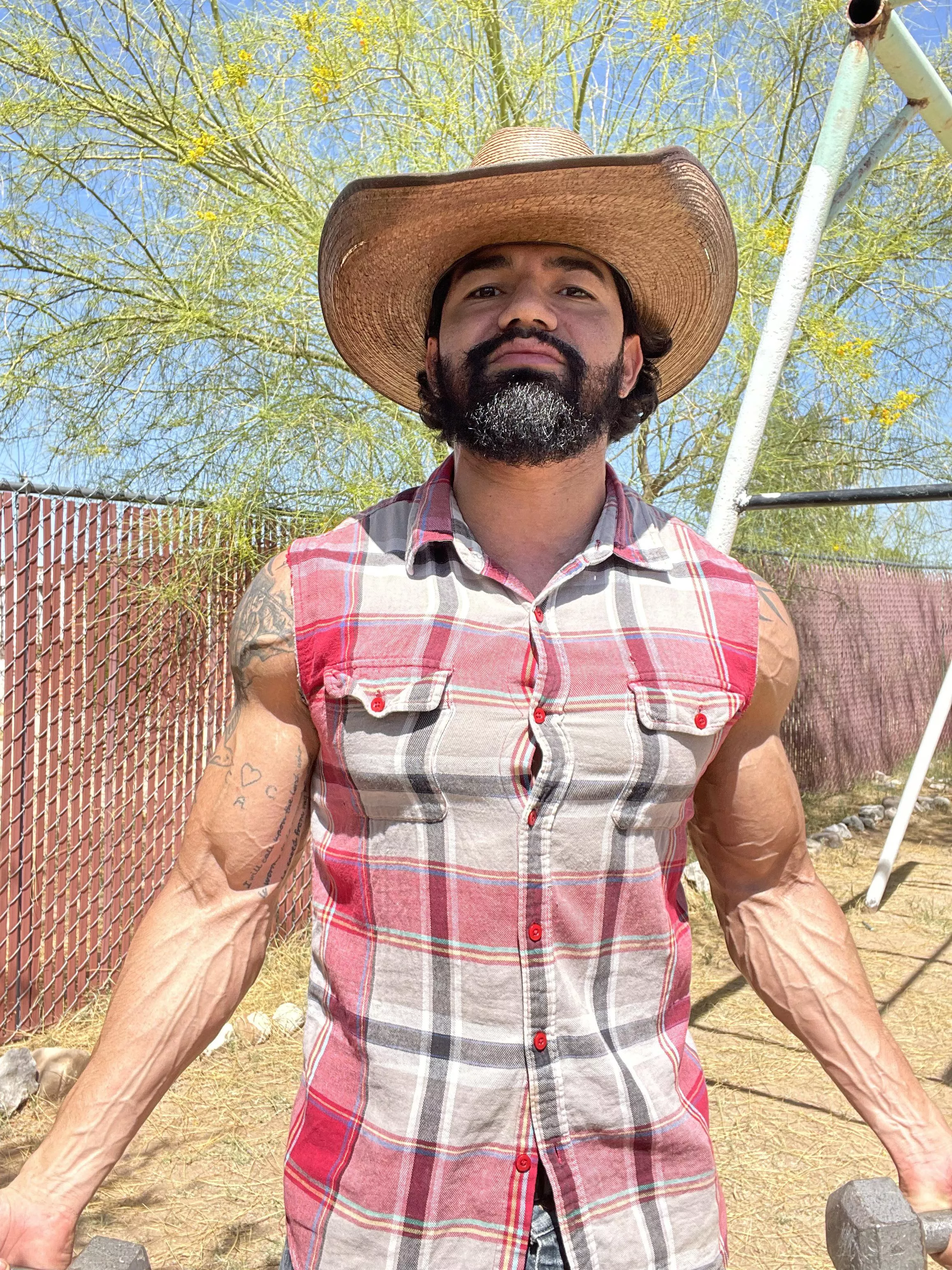 How’s my arms looking ?