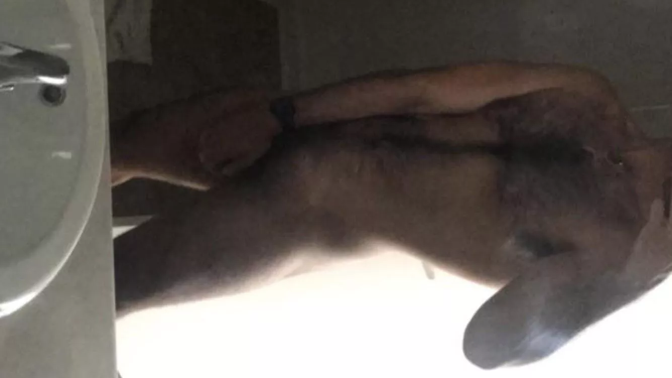 How’s my fur looking?