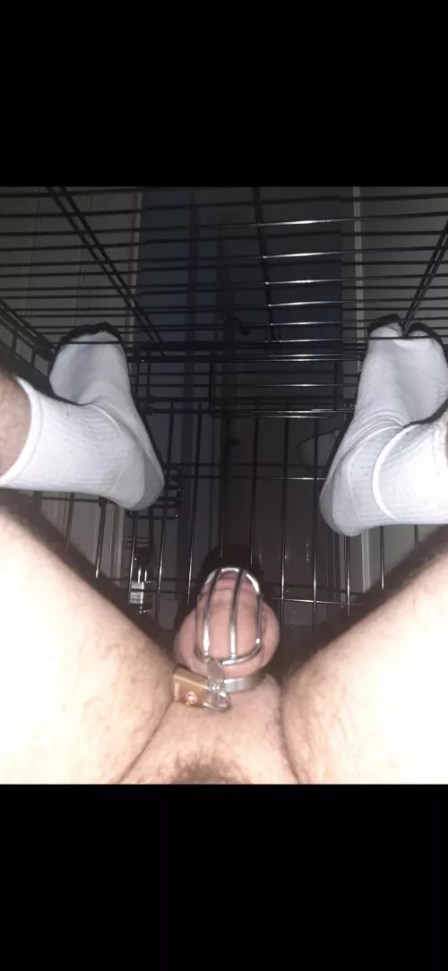I [24] [M] have been locked in chastity in a dog cage for 3 days so far. AMA