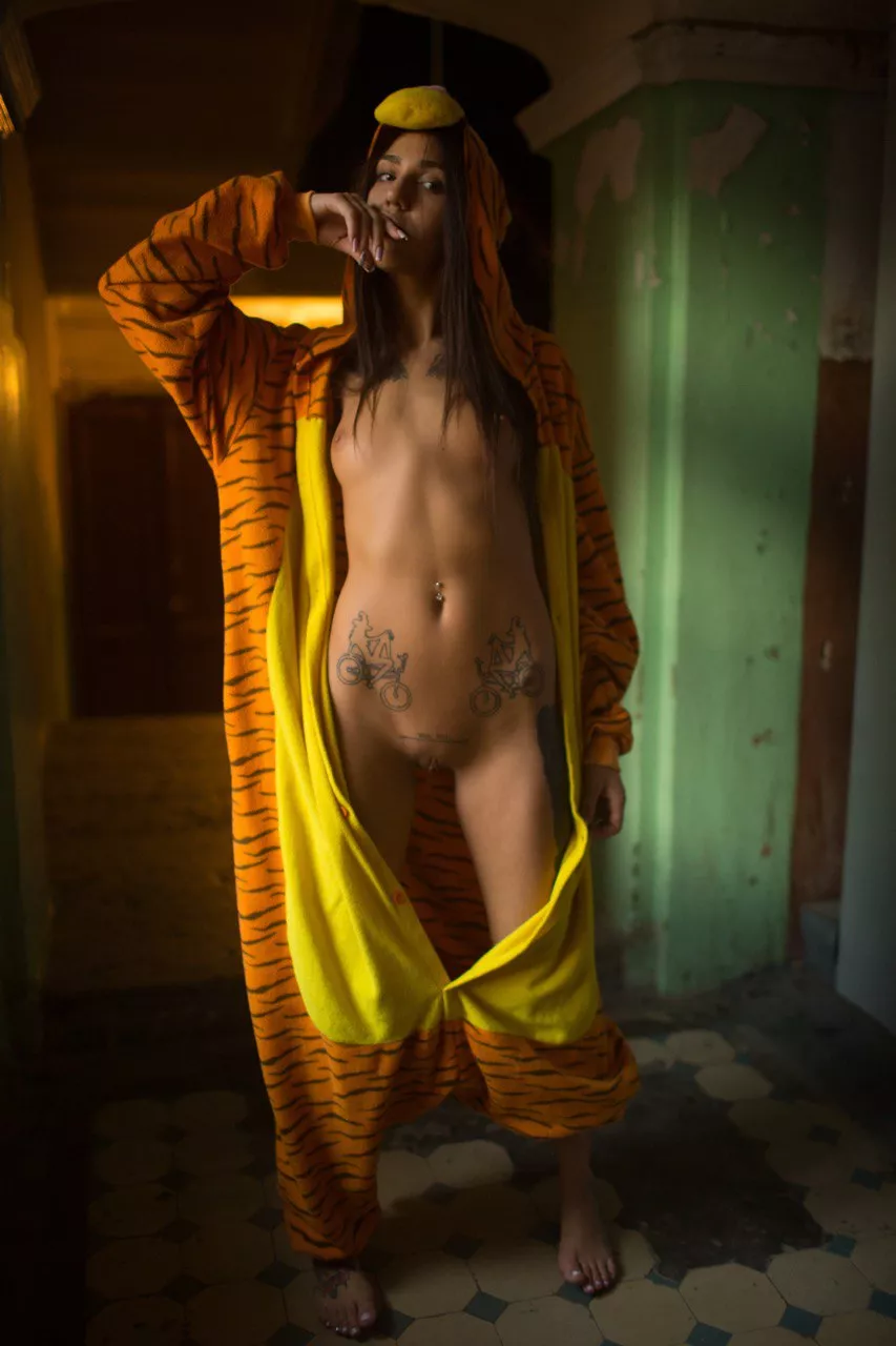 I am your playful neighbor