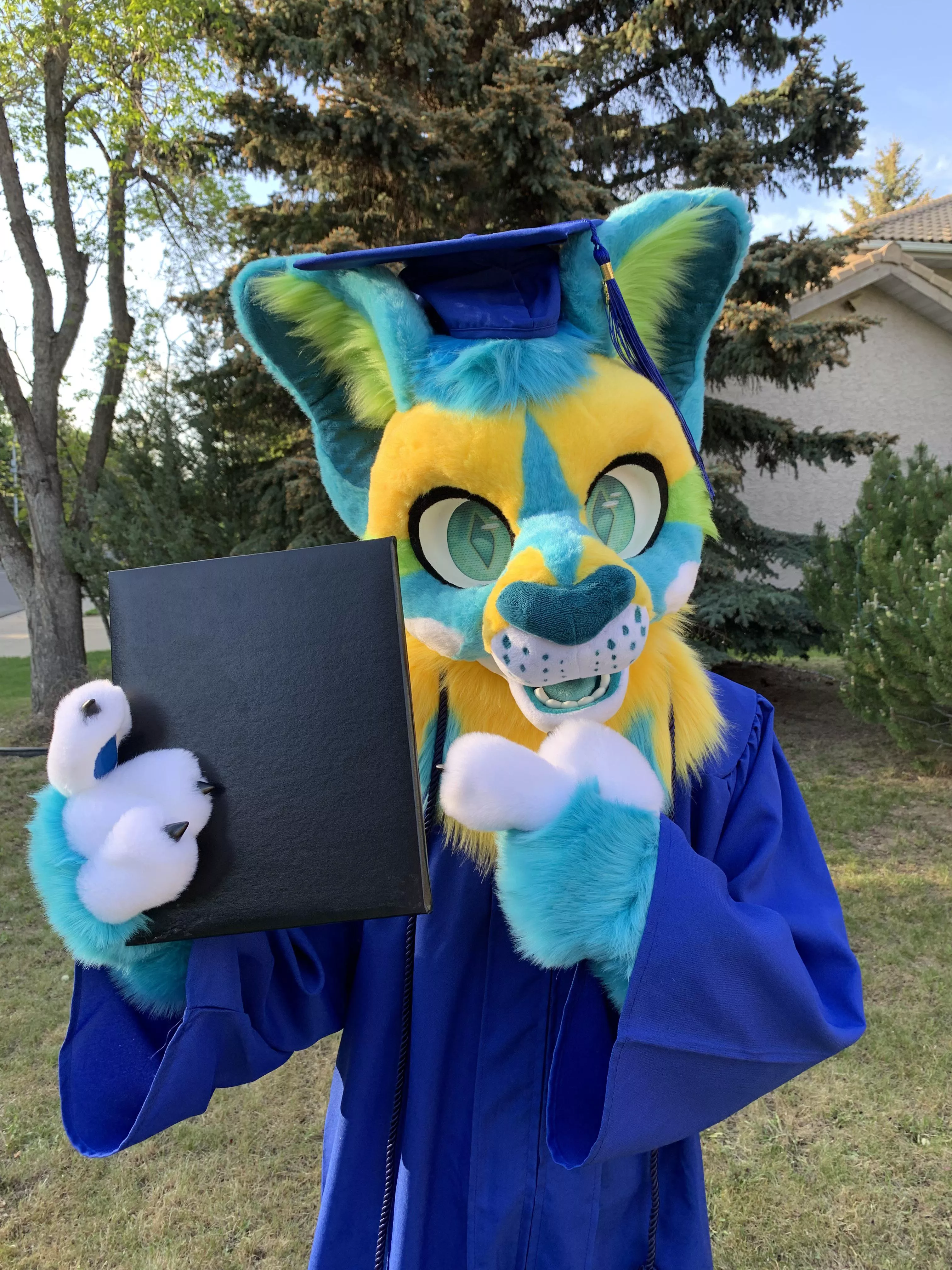 I did a thing ⚡️