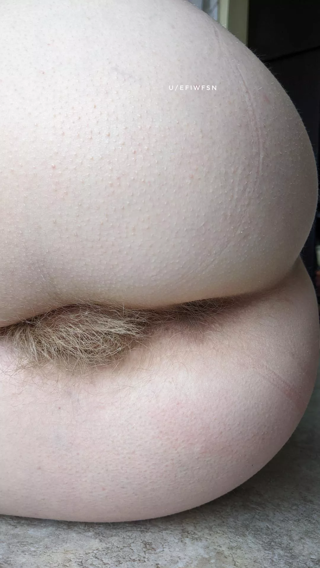 I don't shave my ass, or any part of my body!