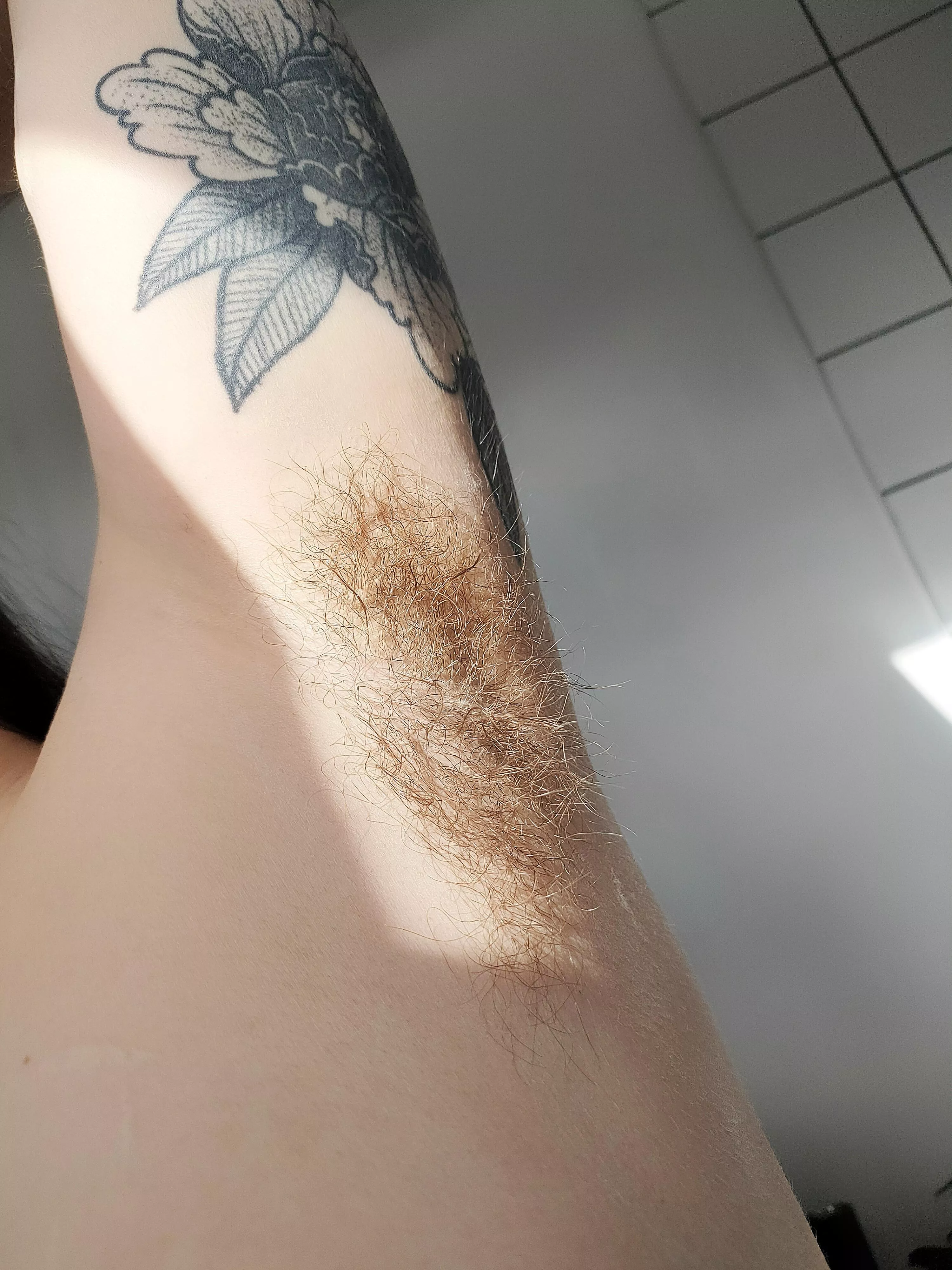 I don't think my armpit hairs have ever looked so good 😍 Don't they look soooo sniffable?