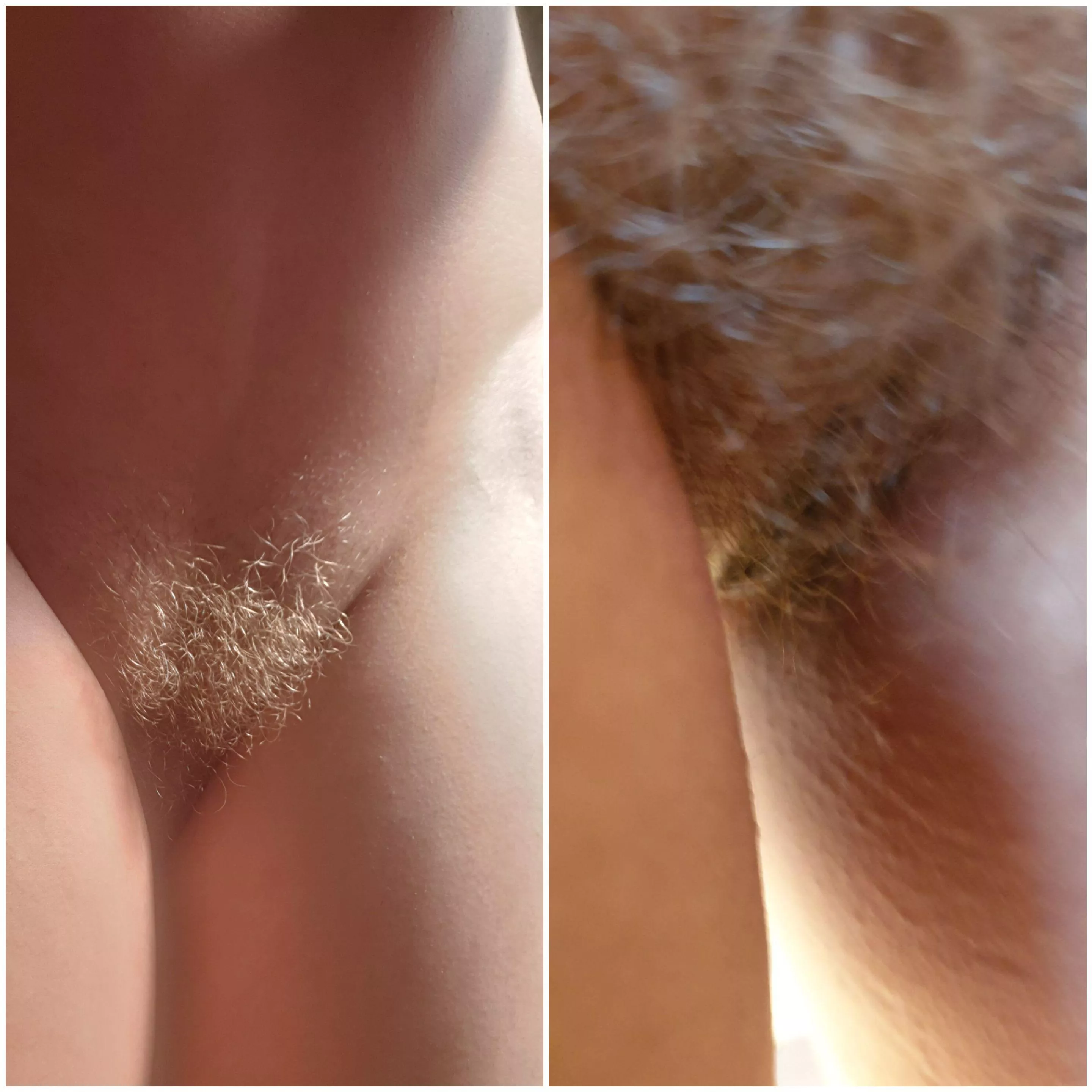 I don't think my bush needs a creative caption ...it's a statement all in itself #blondebush #hairpositive #natraulblondebushnz #nattiebush I don't think my bush needs a creative caption ...it's a statement all in itself #blondebush #hairpositive #natraulblondebushnz #nattiebush