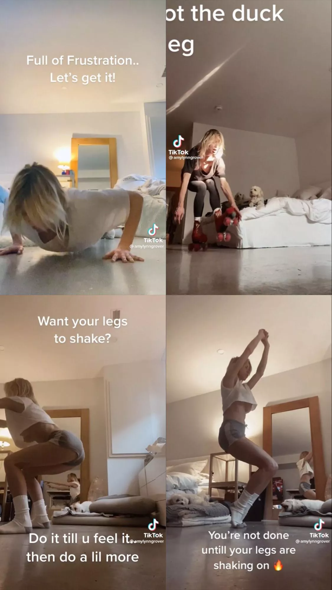 I got all 4 vids that were deleted by TikTok