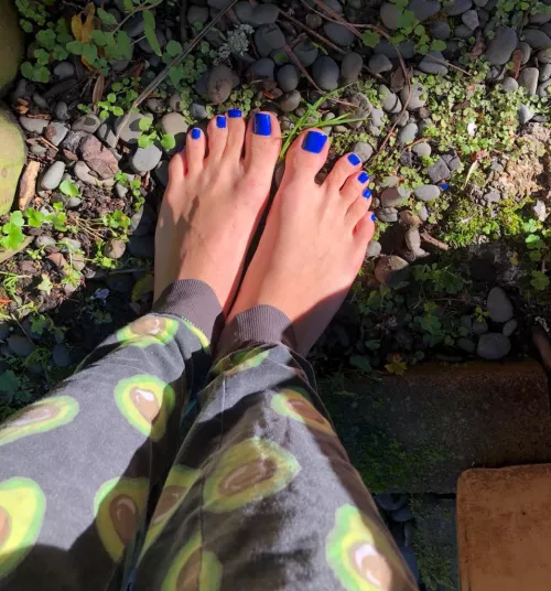 I got some great sunshine